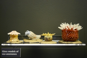 manchester museum 9-2023 8909